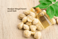 Krim Daripada Banyan Tree Wax dan Minyak Kemiri Panggang: Penjagaan Kulit Penuh Khasiat