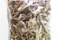 Gosok dari Serbuk Daun Kering dan Lumpur Akar Ginseng Tempatan